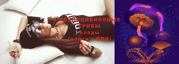 дмт Богородицк