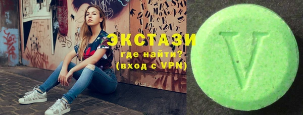 дмт Богородицк